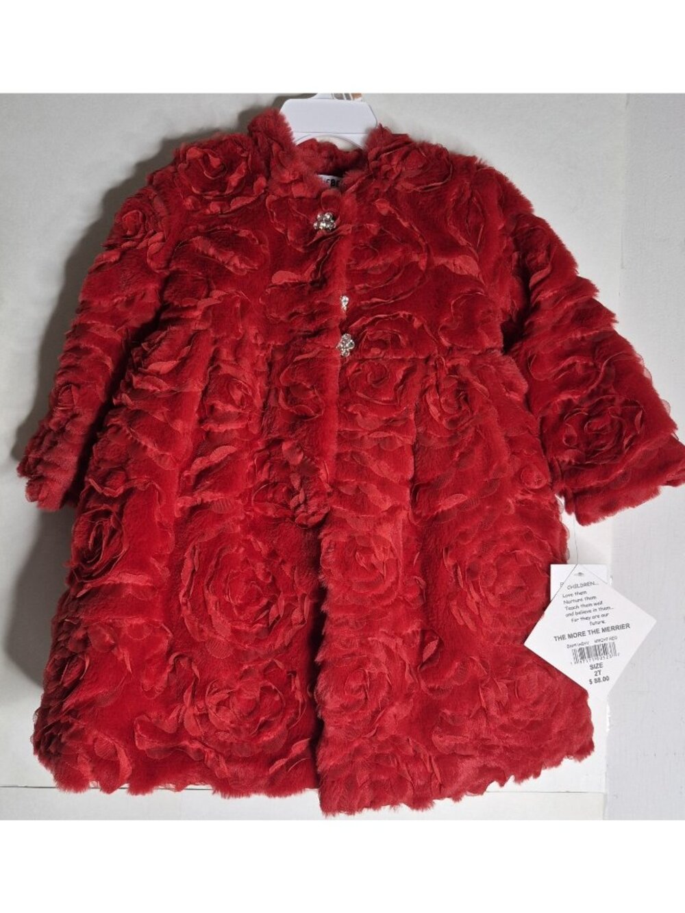 NEW BlueBeri Boulevard 2 Piece Dress Set Toddler Girls Size 2T